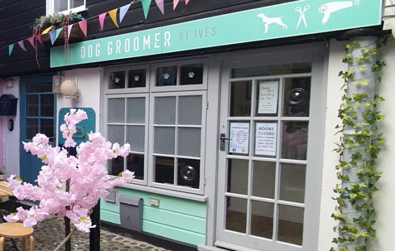 The Dog Groomer