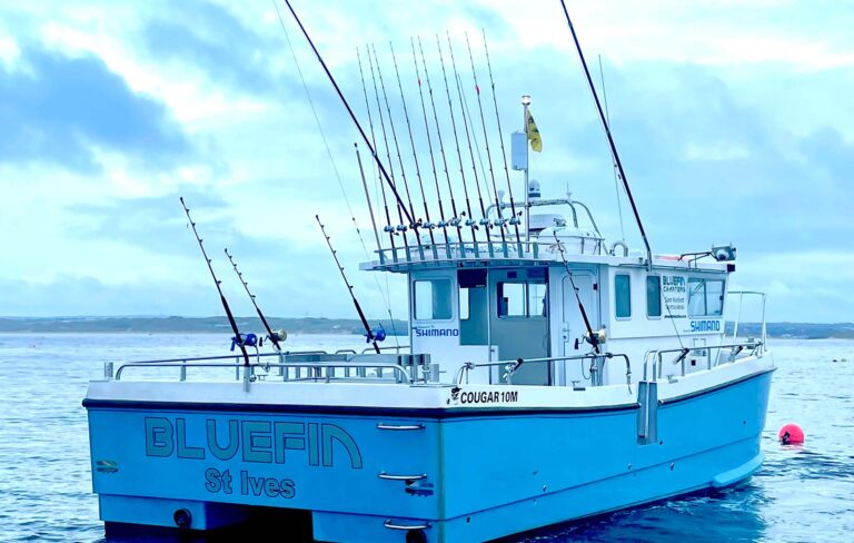 BlueFin Main Image