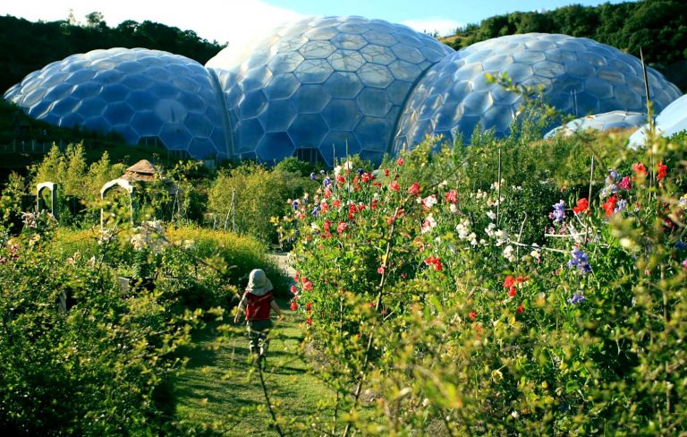 Eden Project Biomes