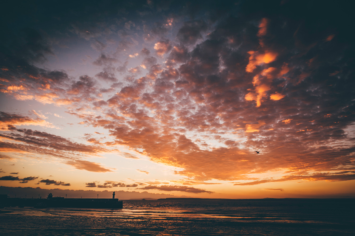 Harbour Sunrise As 1500