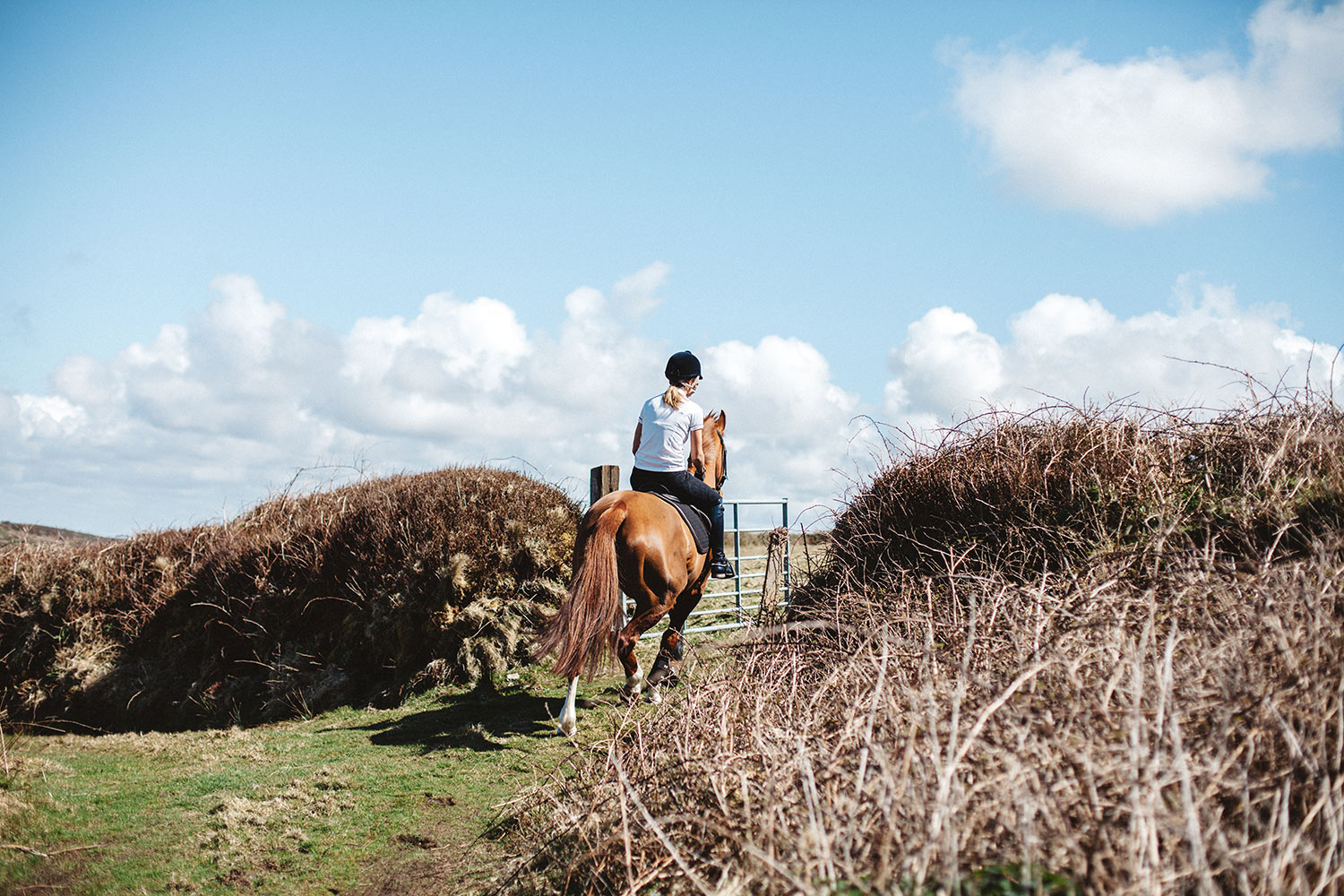 Horse Riding Away Lc 1500