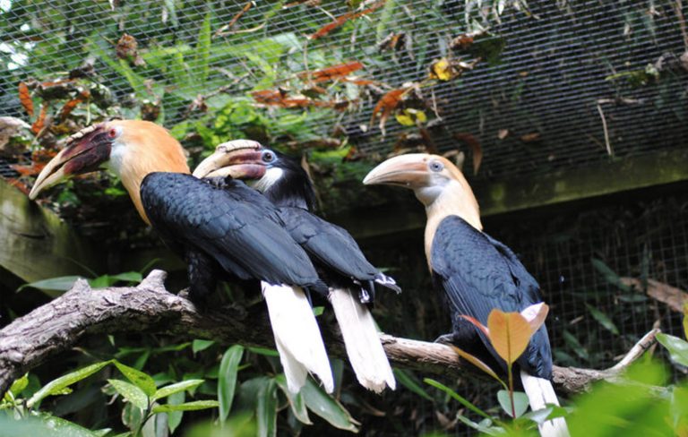 Newquay Zoo 2