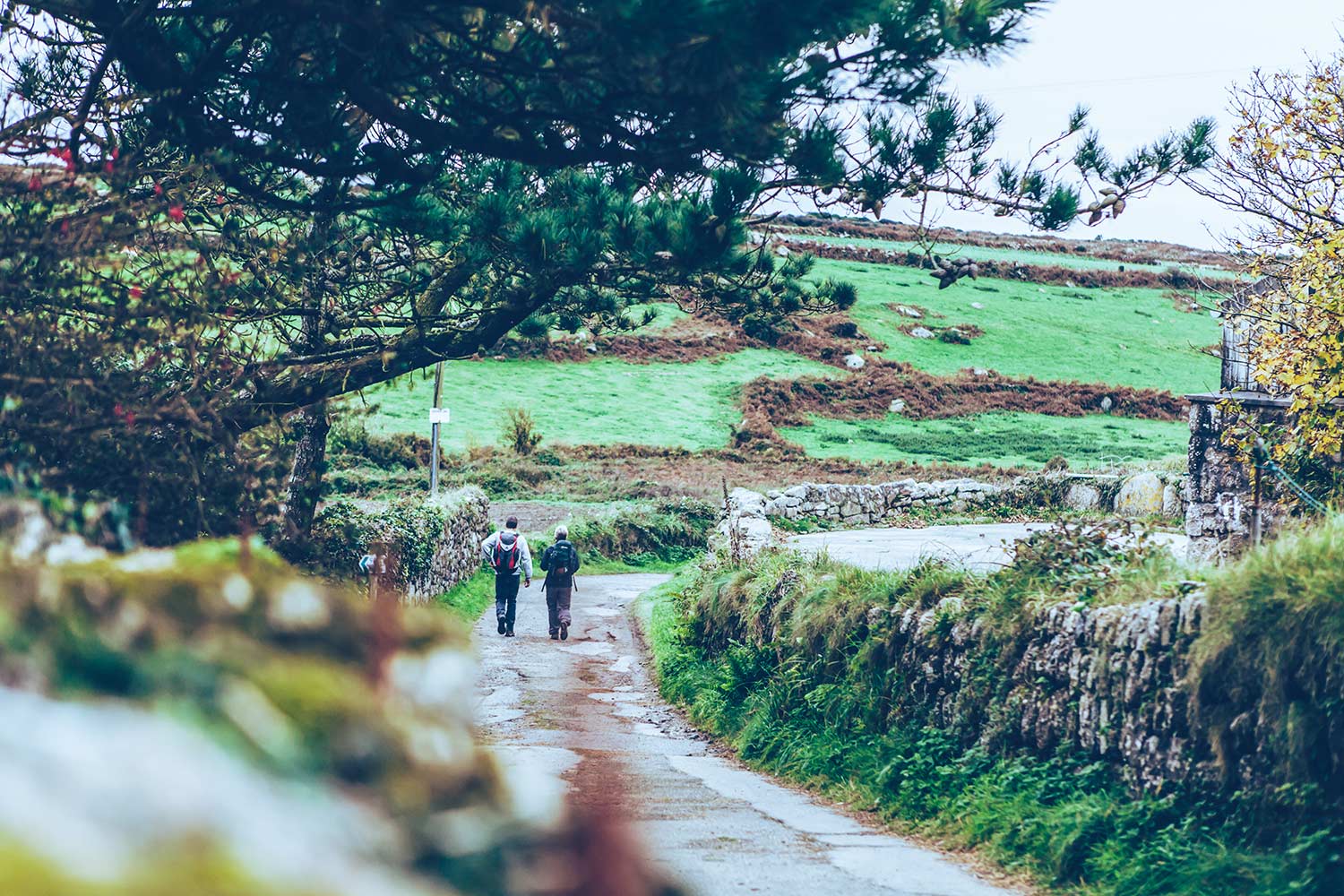 People hiking on one of Cornwalls coastal walks