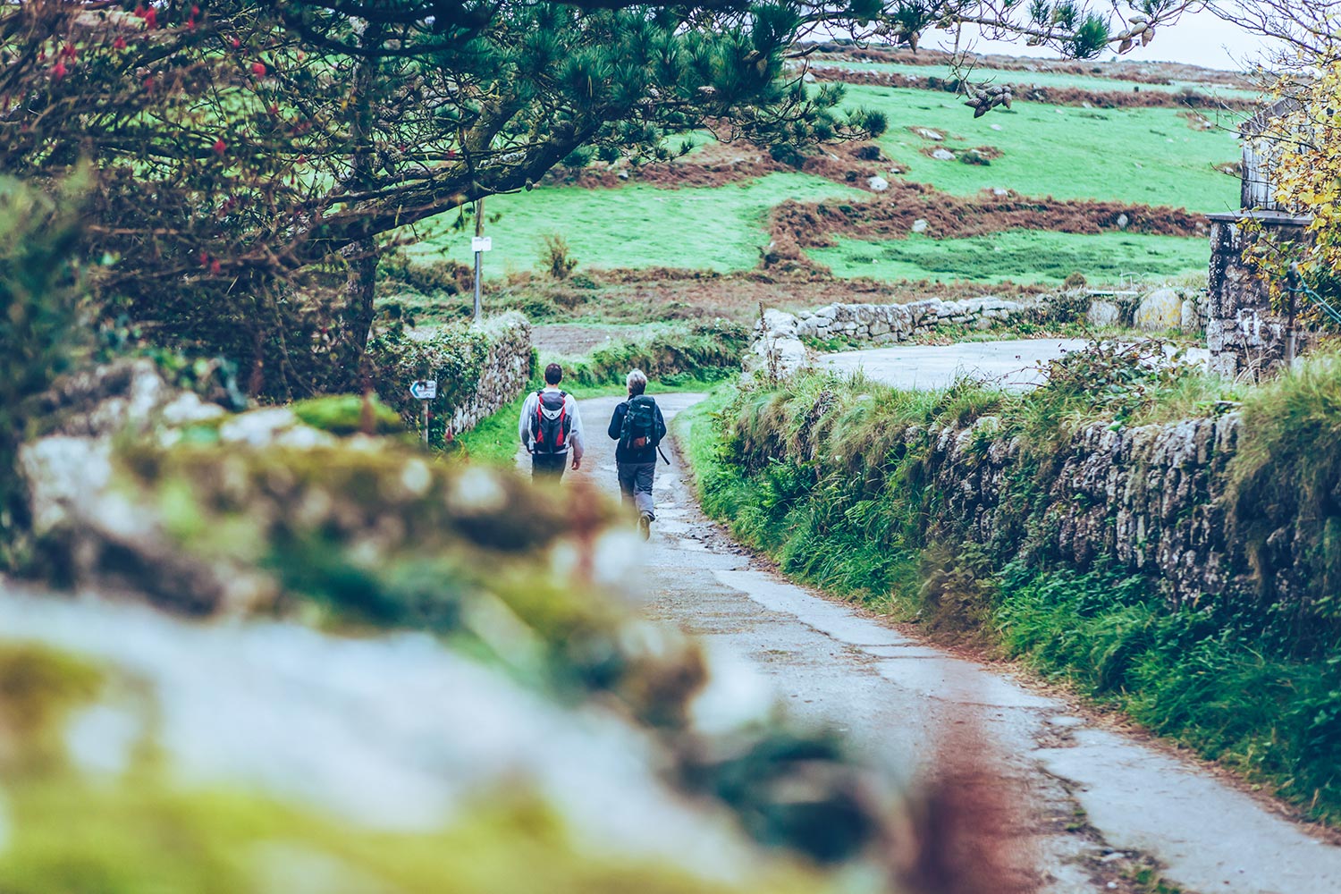 Rural St Ives Walking Np 01