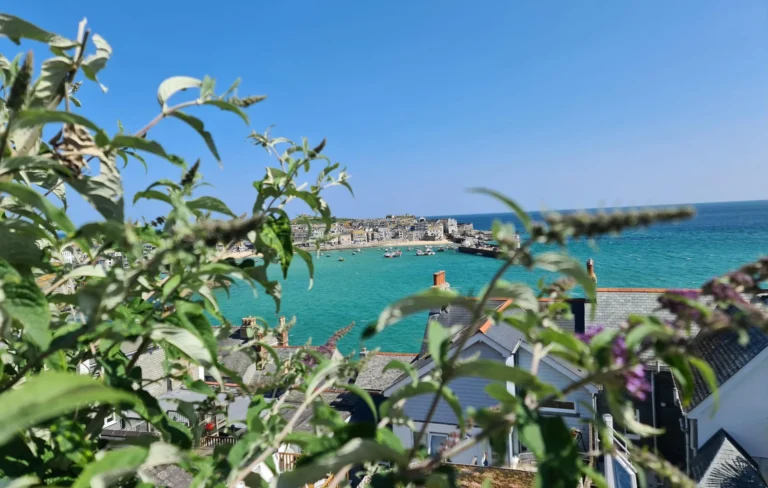 St Ives 1