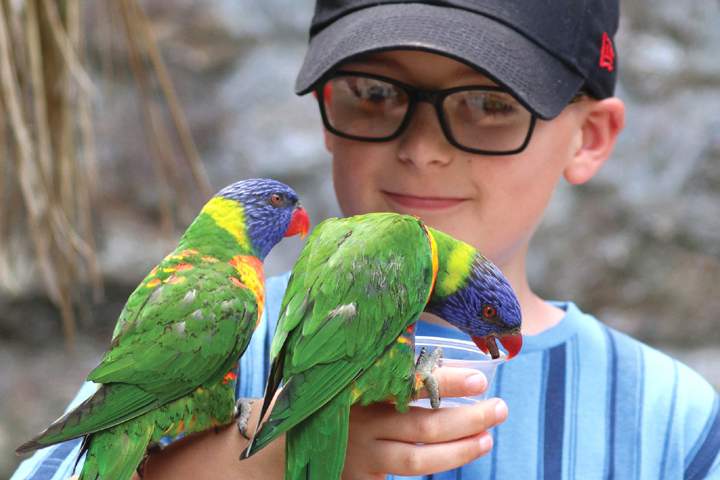 Summer Close Encounters Paradise Park Hayle
