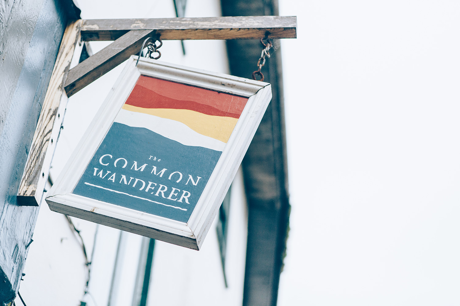 The Common Wanderer 2