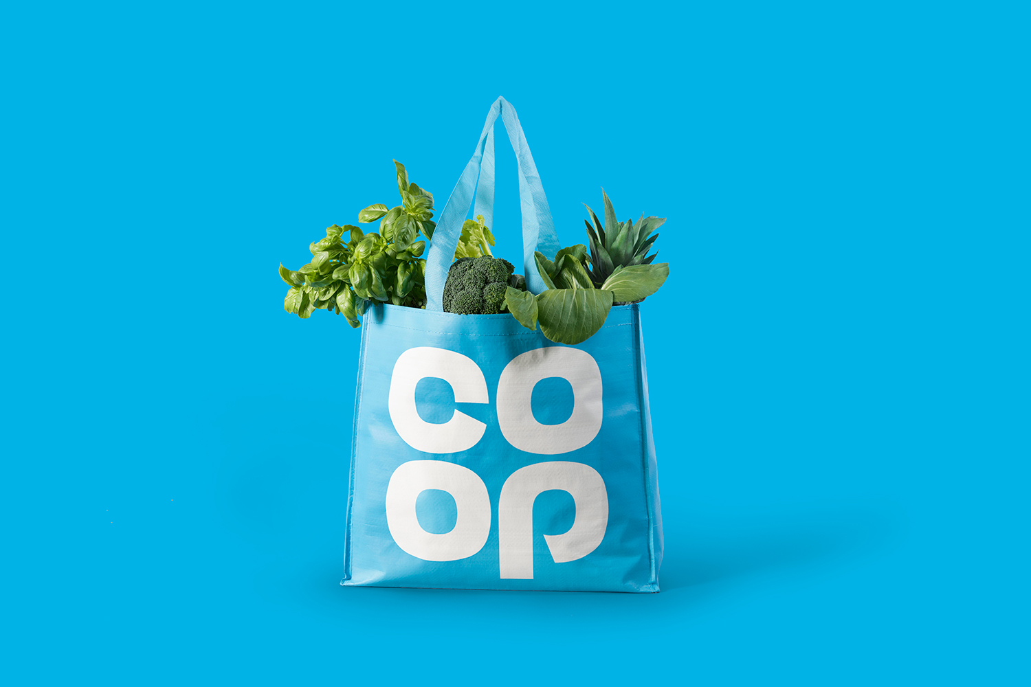 The Coop 1500