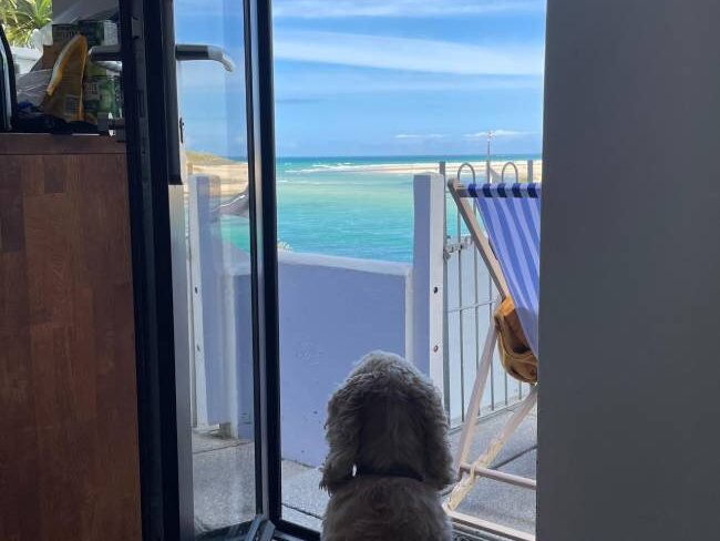 Dogdoor