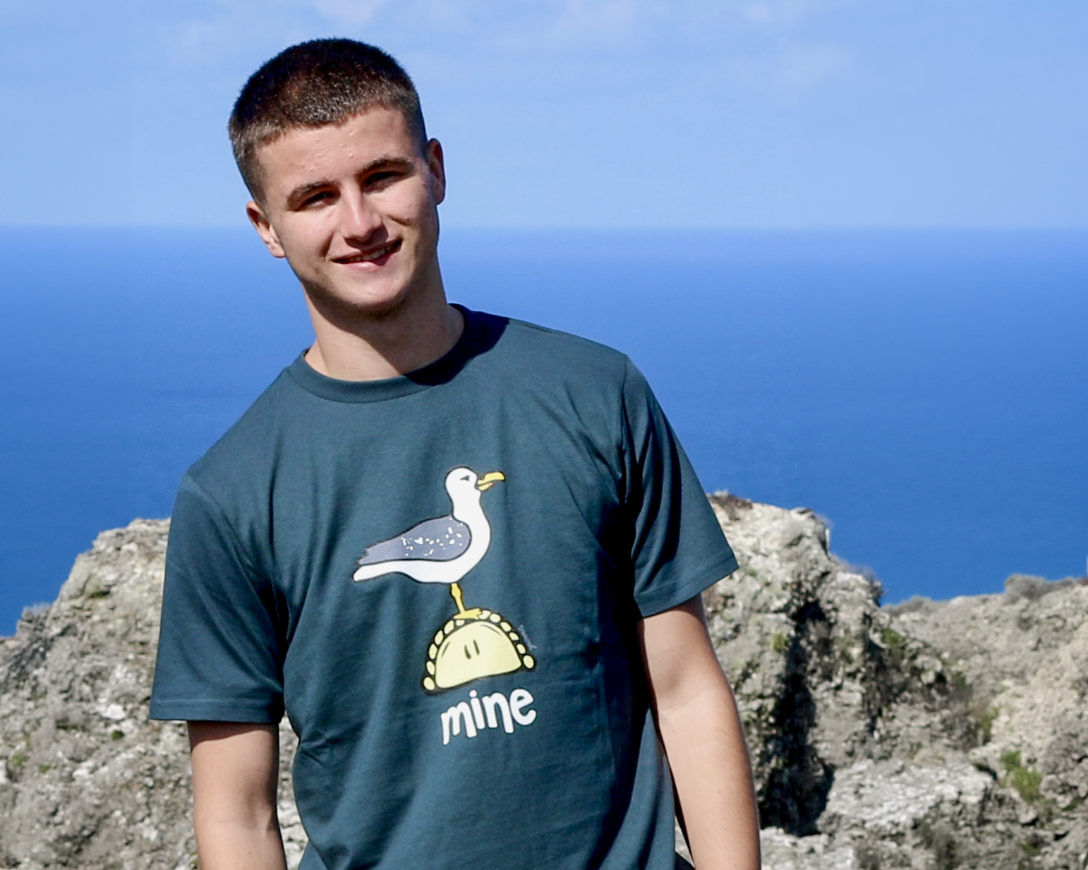 Tea And Coast Mine Seagull